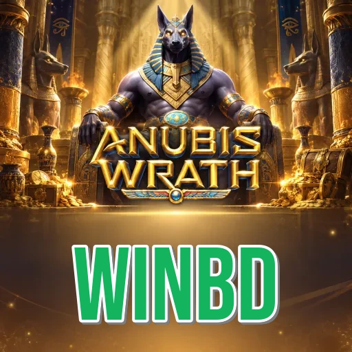 Architecture Comparison - winbd APK Variants